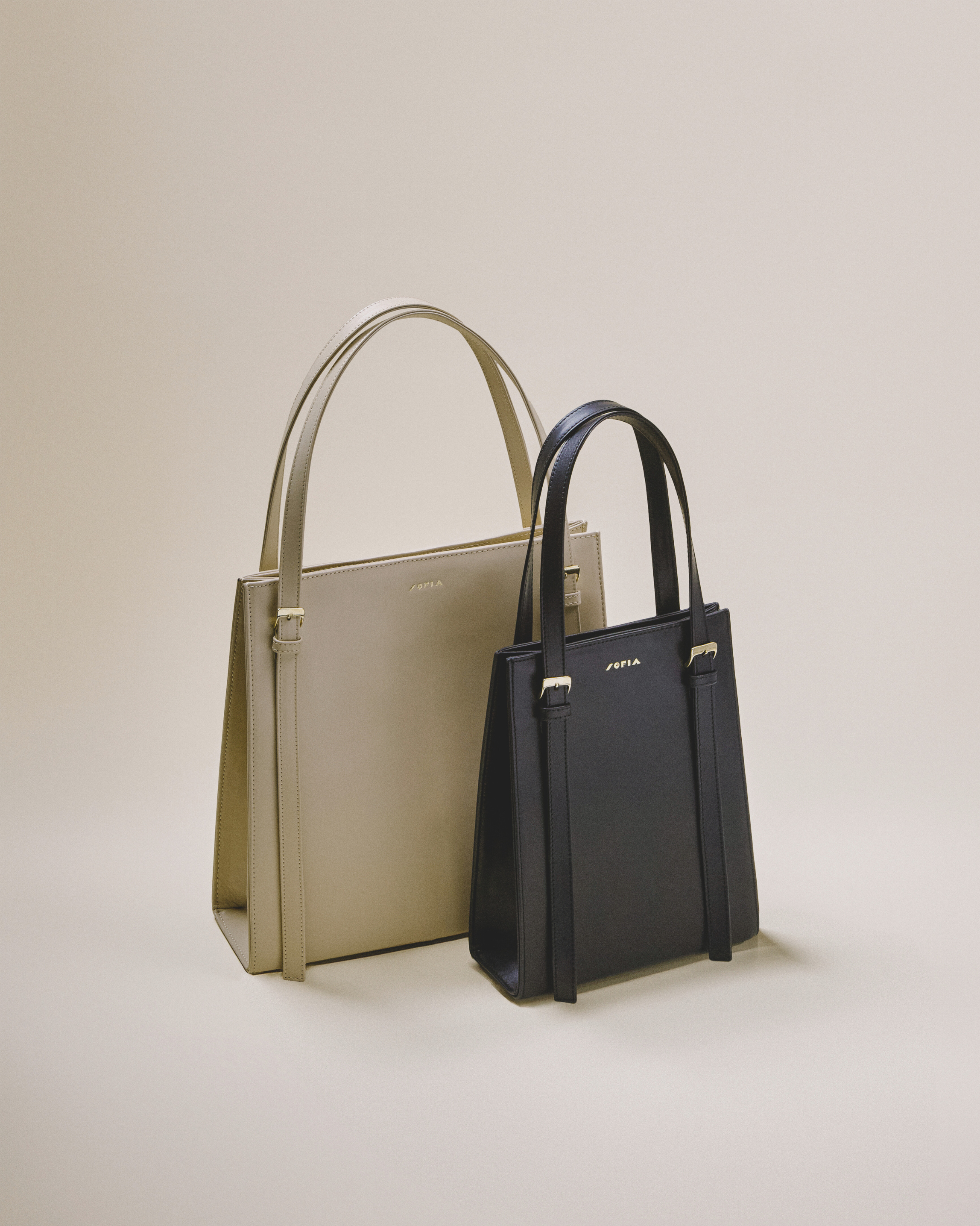 Immagine diapositiva