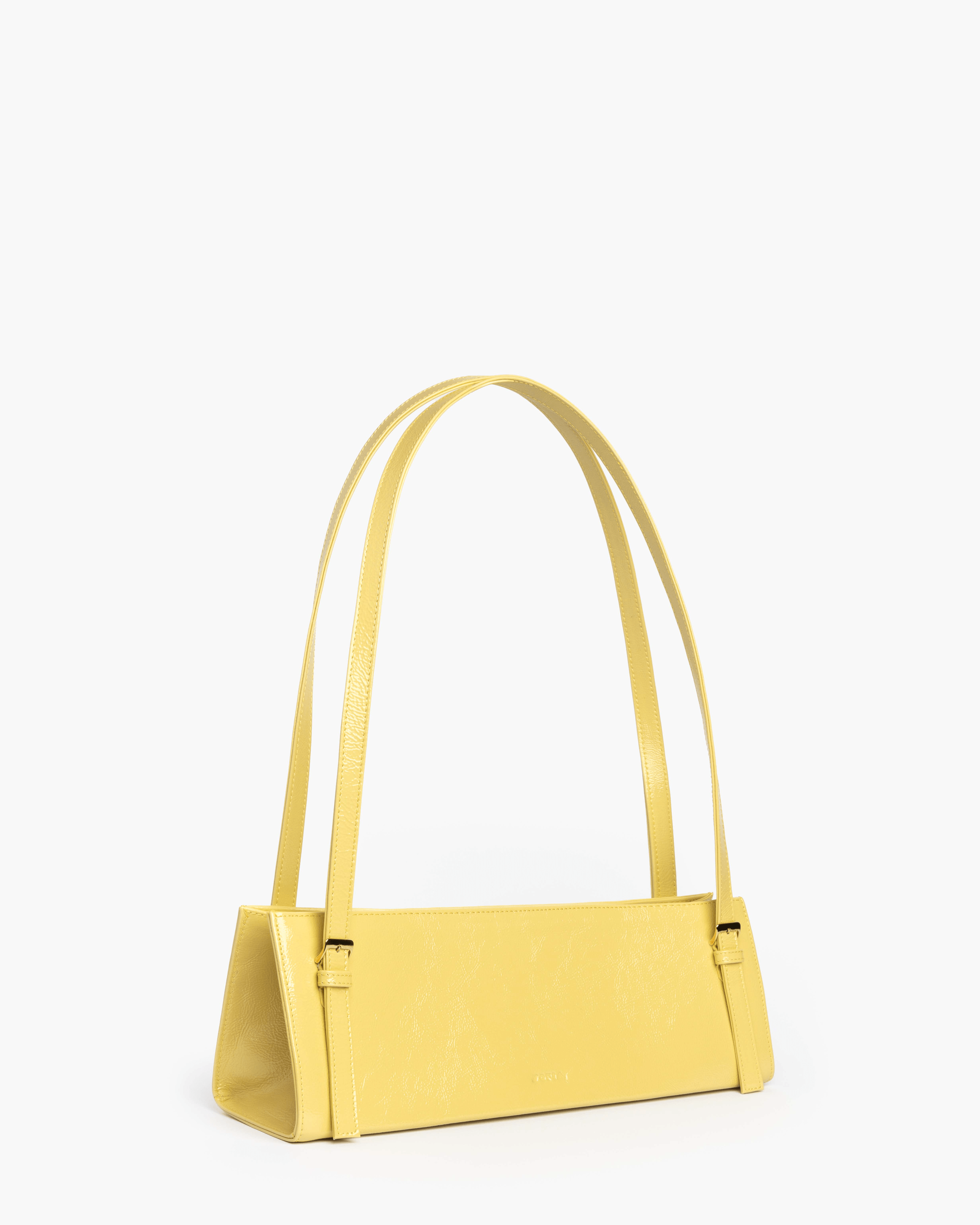 Immagine diapositiva