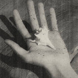 Immagine diapositiva