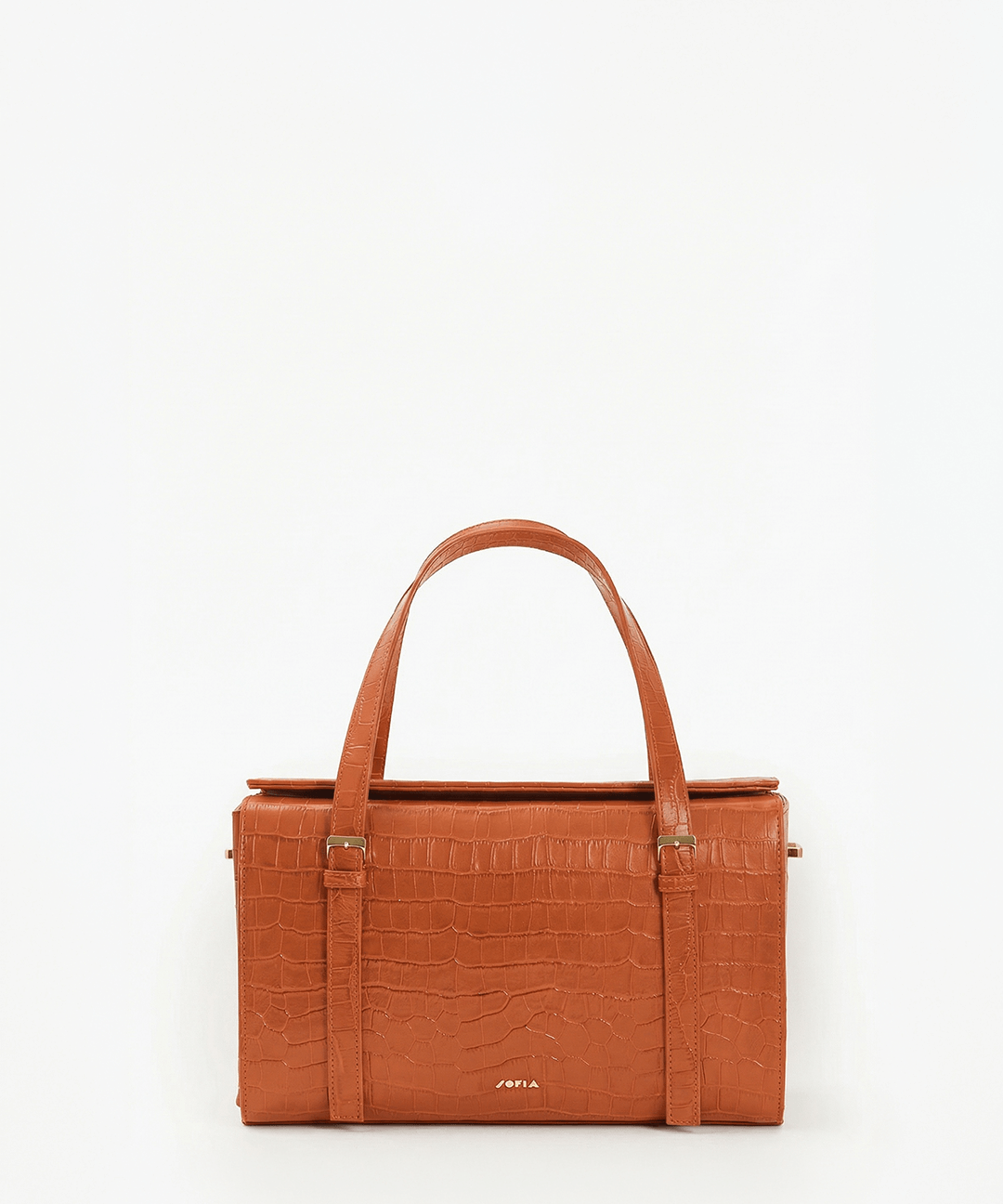 Immagine diapositiva