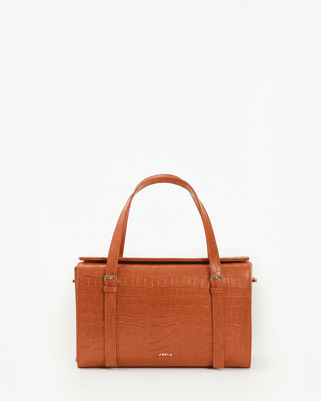 Immagine diapositiva