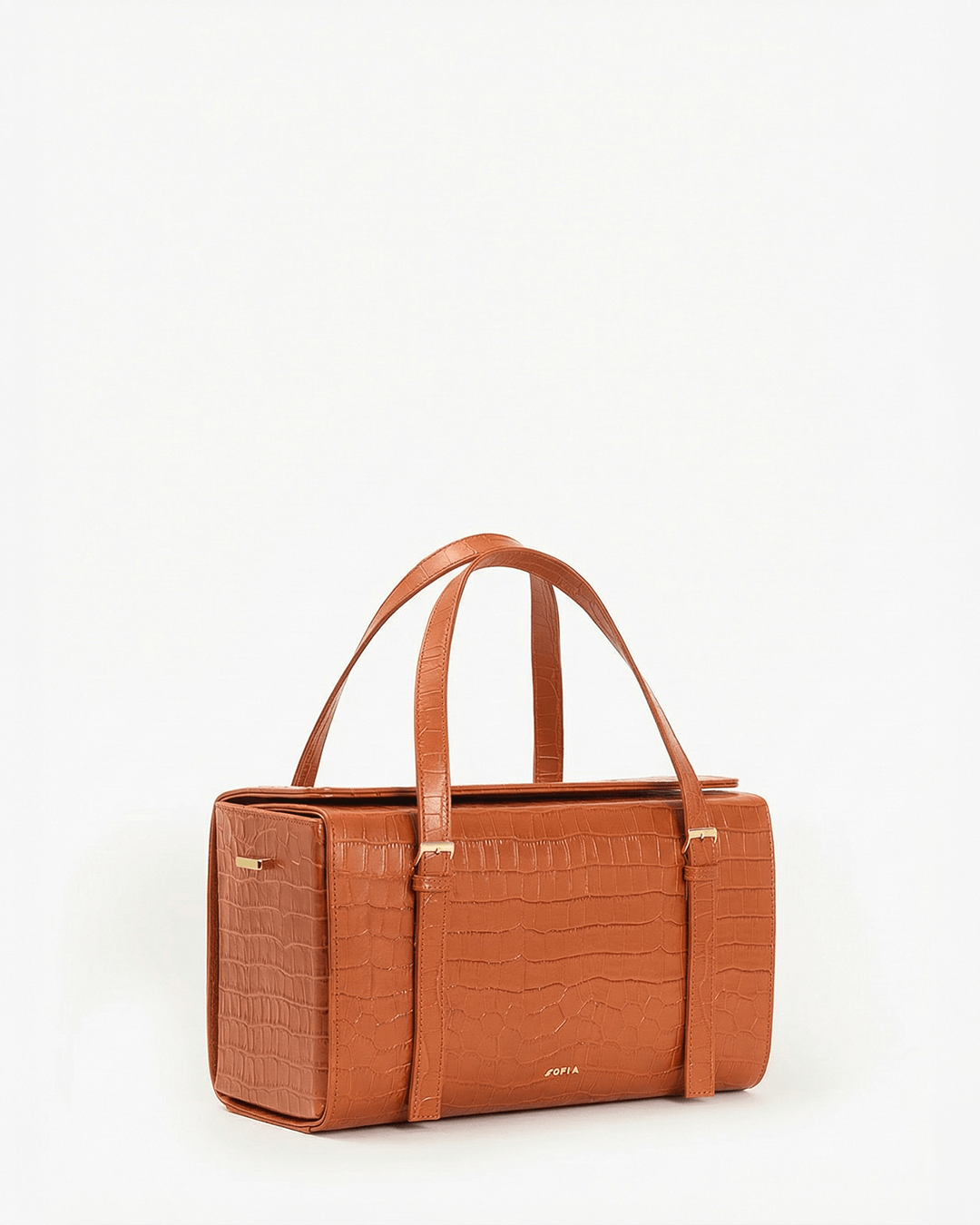 Immagine diapositiva