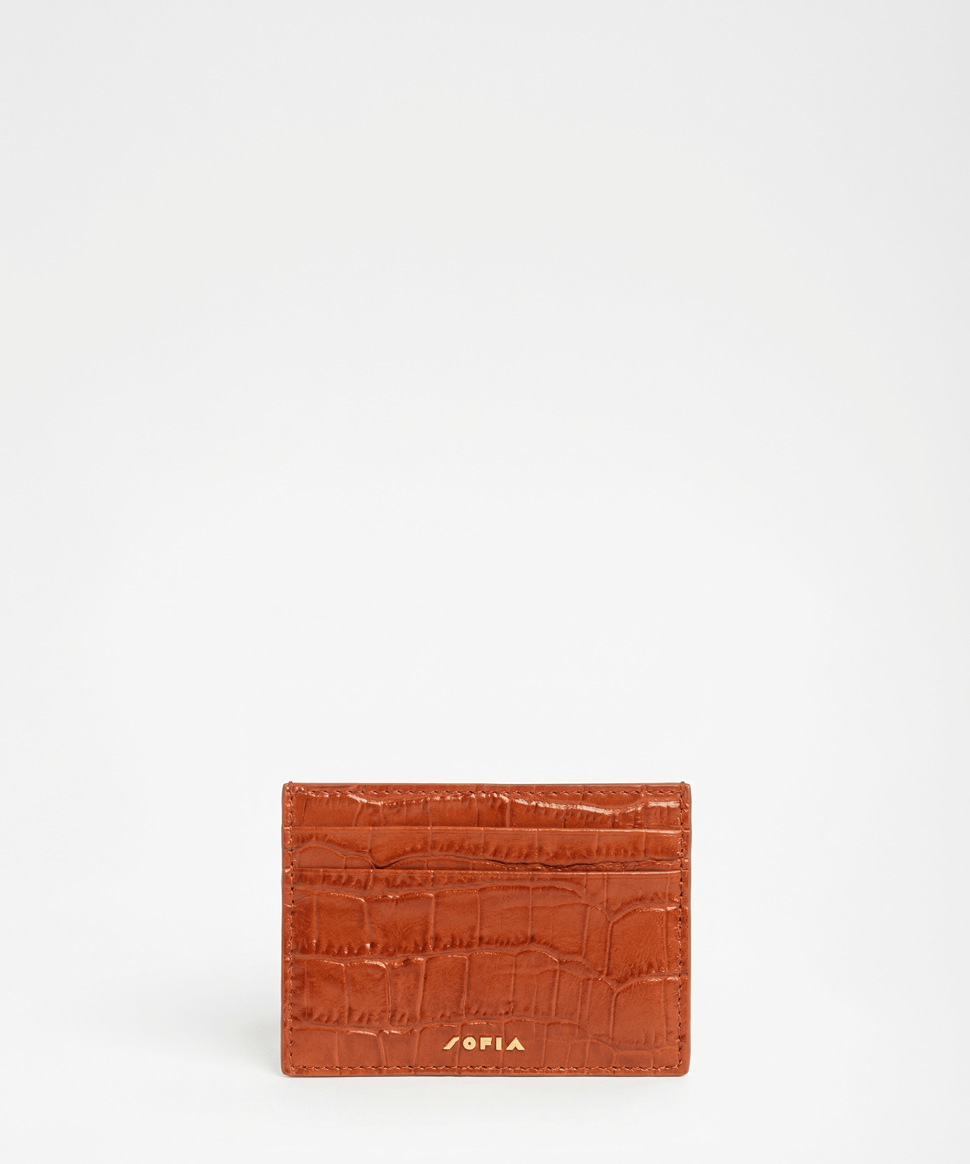 Immagine diapositiva