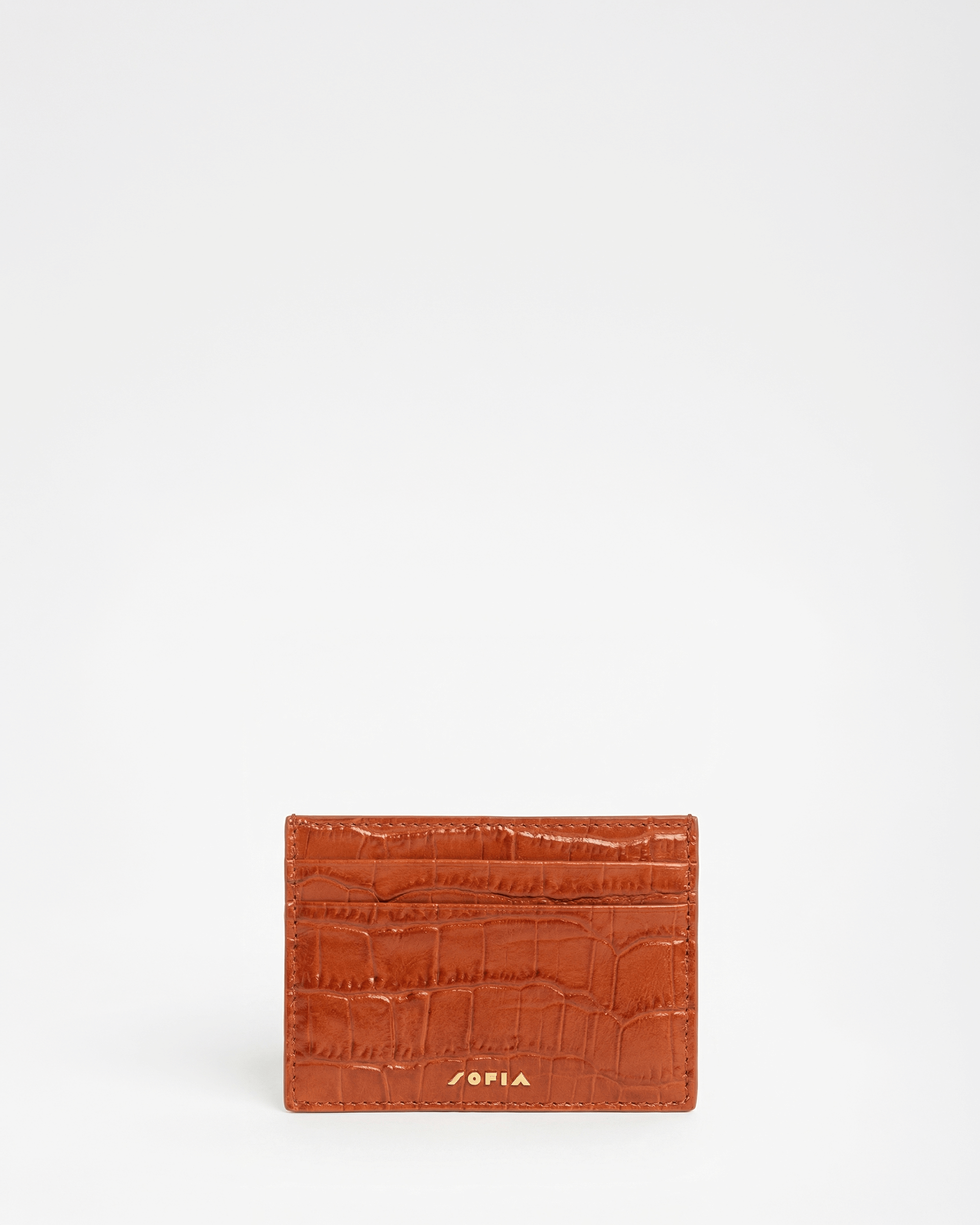 Immagine diapositiva