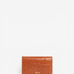 Immagine diapositiva