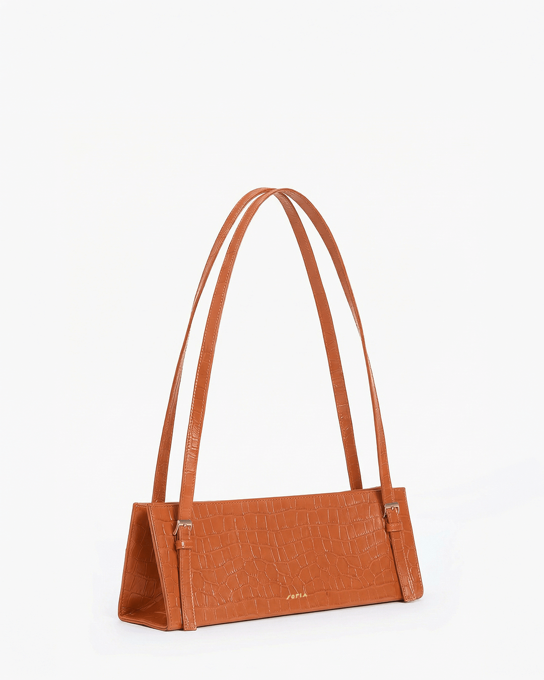 Immagine diapositiva