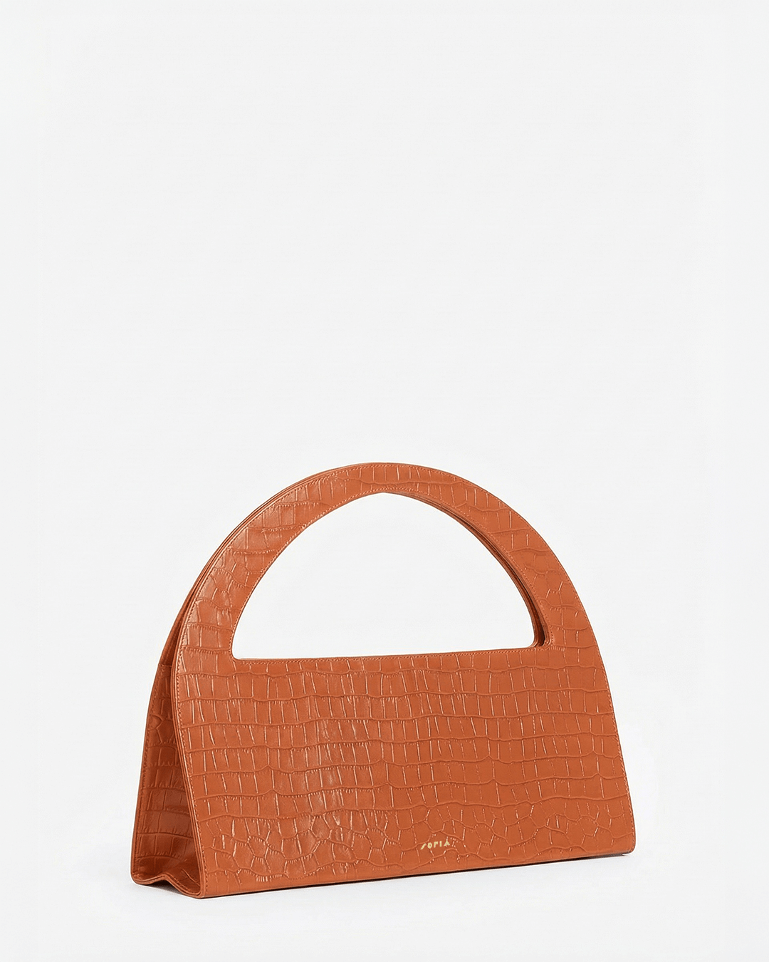 Immagine diapositiva