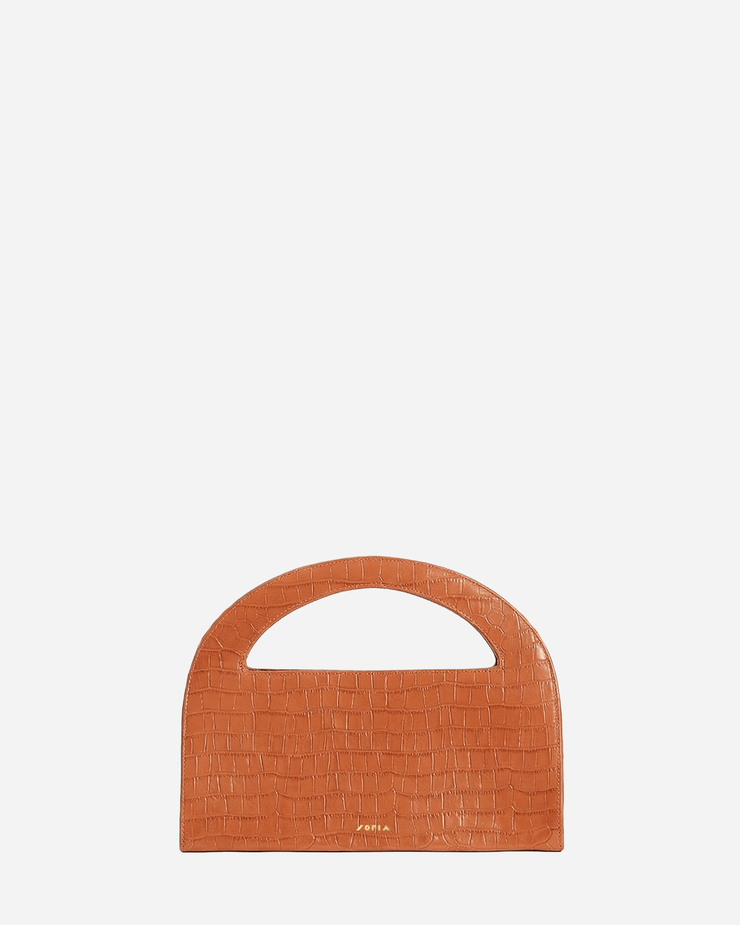 Immagine diapositiva