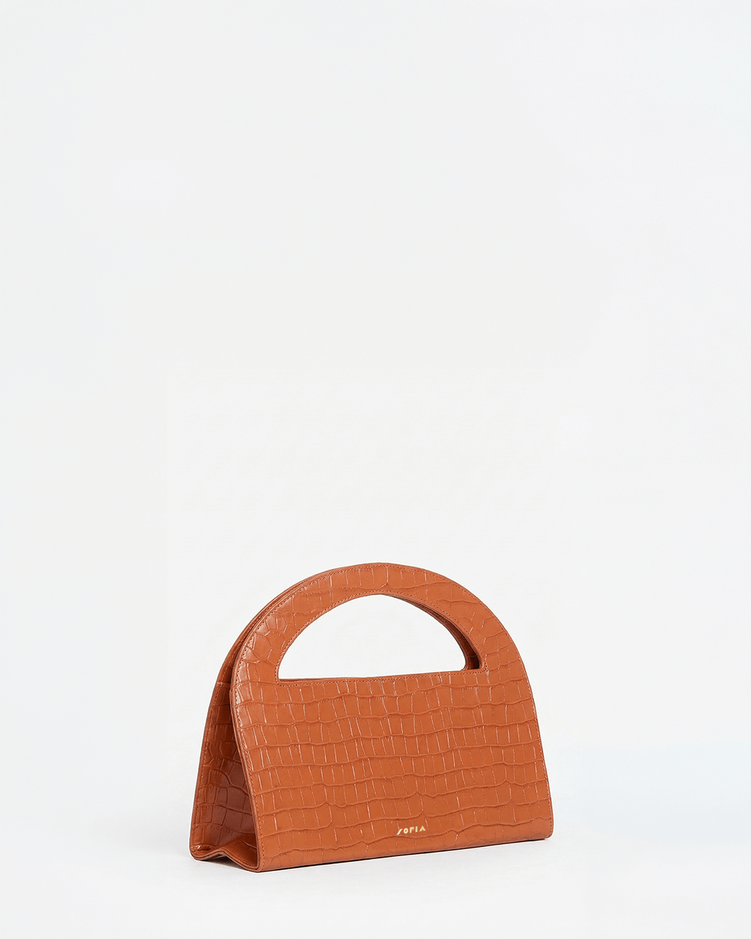 Immagine diapositiva