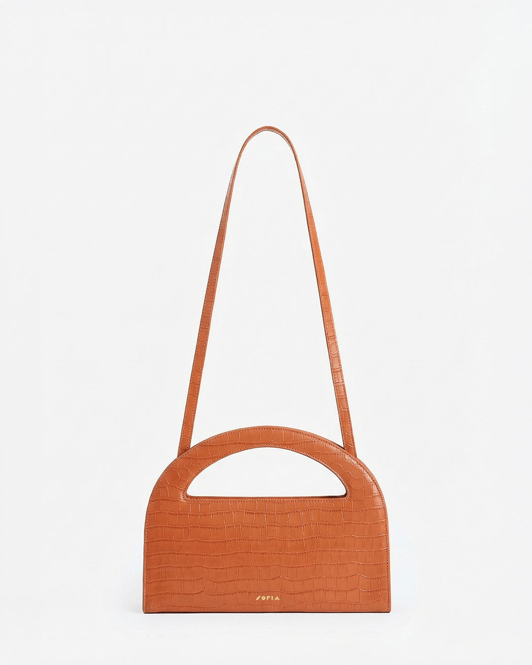 Immagine diapositiva